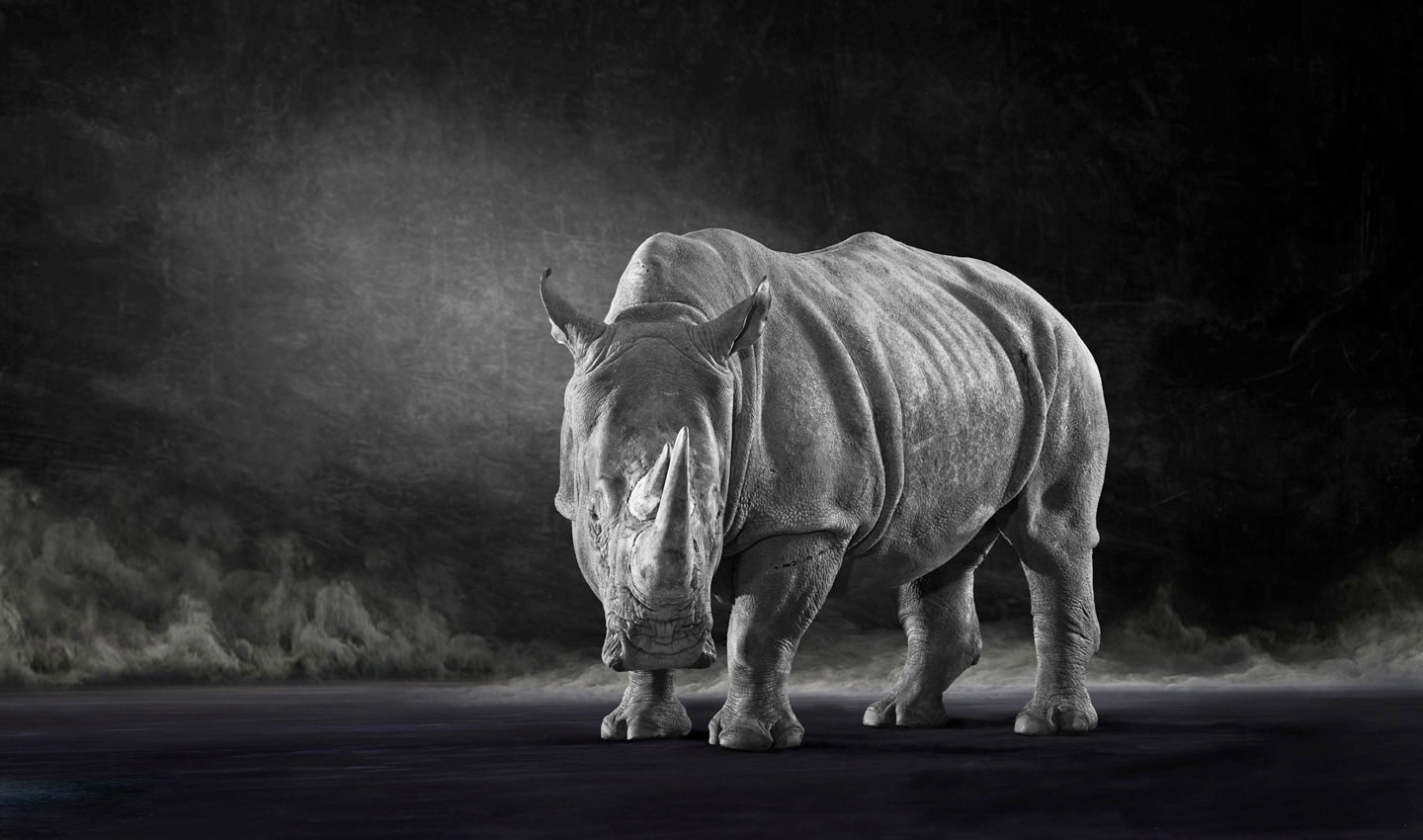 rhino-white-horn-endangered-fine_art_photography_by_Lindsay_Robertson