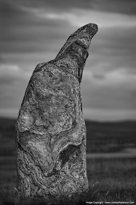 Stacks Image 9