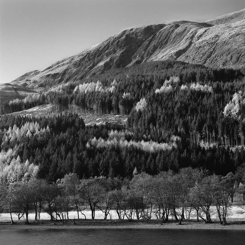 Stacks Image 9