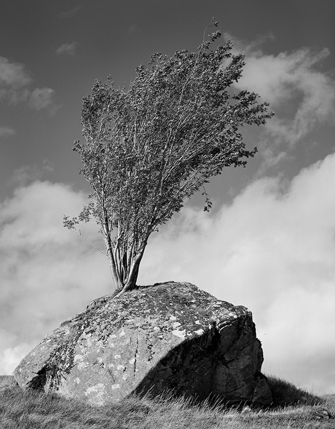 Stacks Image 9